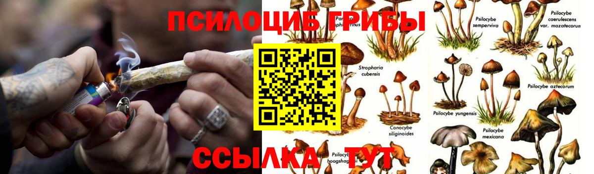 Галлюциногенные грибы прущие грибы  Псилоцибиновые грибы ЛСД  Вход с VPN  Лосино-Петровский 