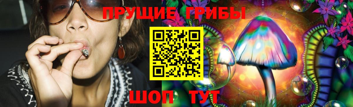 Галлюциногенные грибы Cubensis Лосино-Петровский
